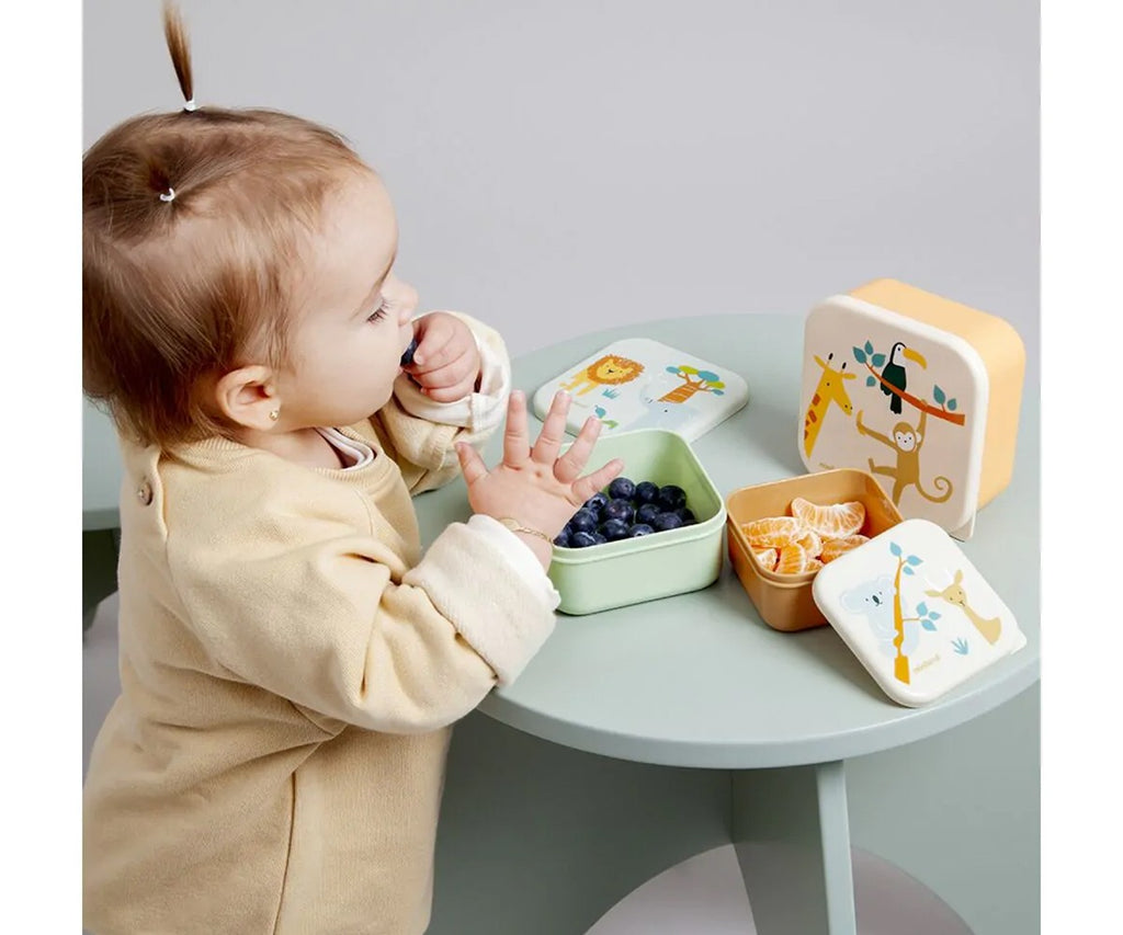 3 Cajitas Almuerzo Kiddie Jungle