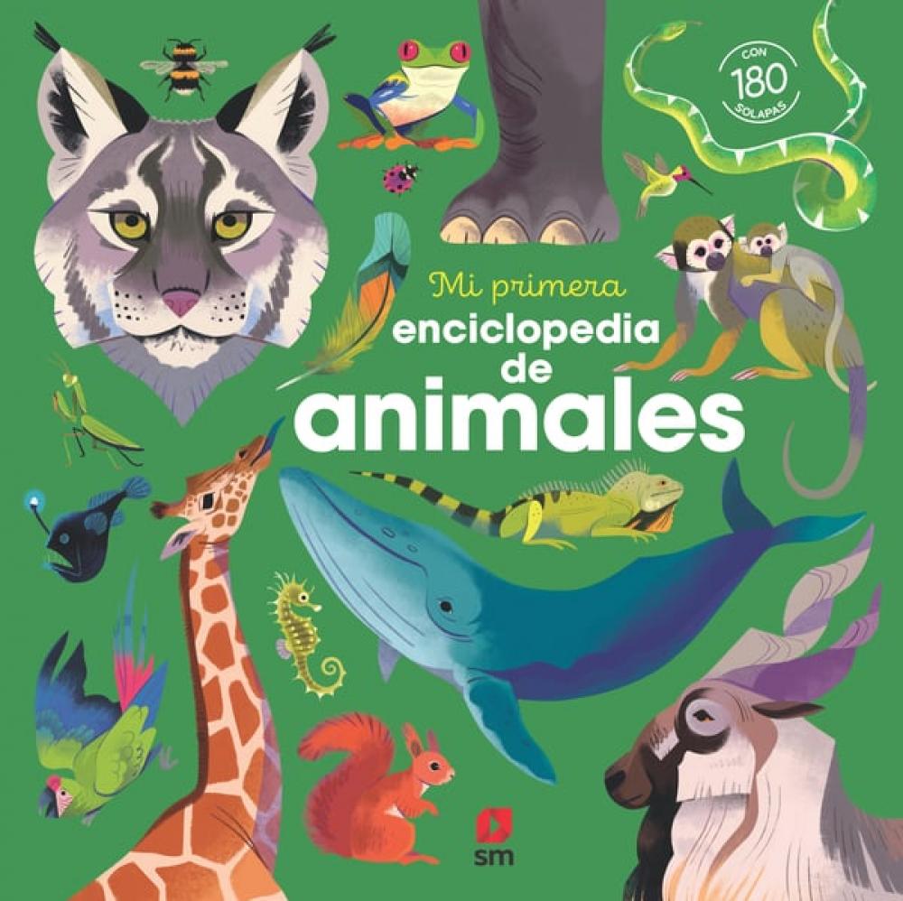 Mi primera enciclopedia de animales - Cuento Infantil