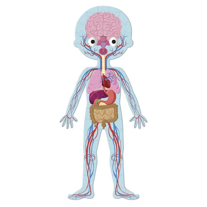 EL CUERPO HUMANO MI LUNA LUNERA (5)