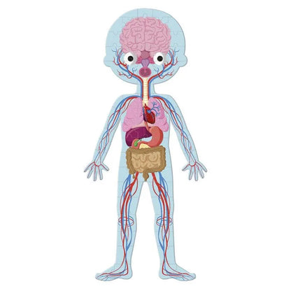 EL CUERPO HUMANO MI LUNA LUNERA (5)