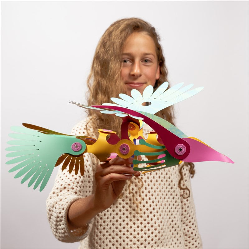 Tropical Birds - CLIXO