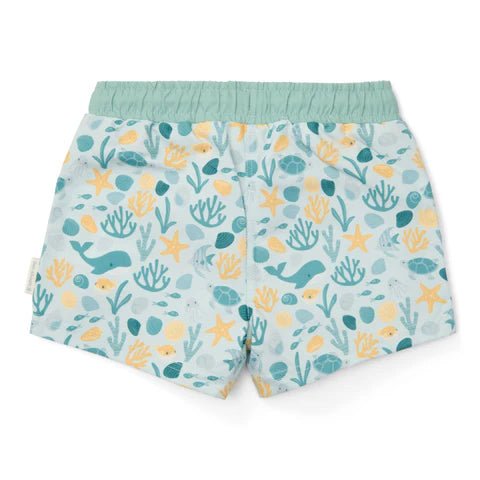 Bañador Boxer Conchas - Little Dutch personalizado - regalo bebé | Mi Luna Lunera