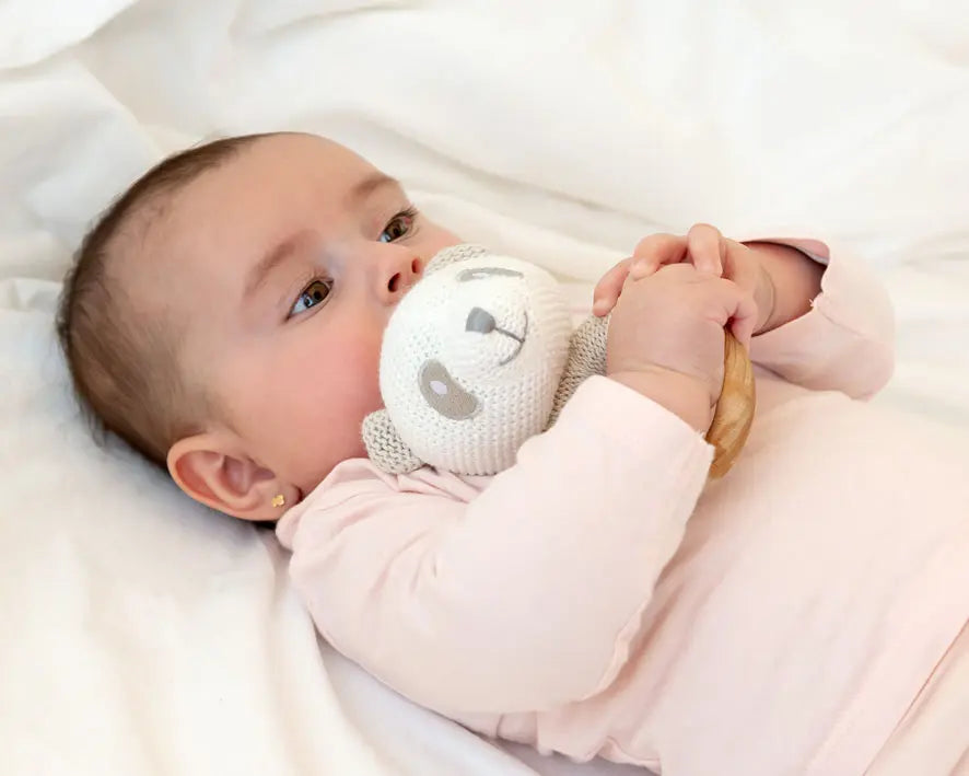 Mordedor Sonajero Oso Panda Punto